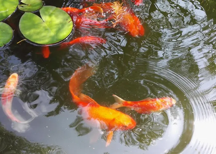 Randevu Pensjonat 3*